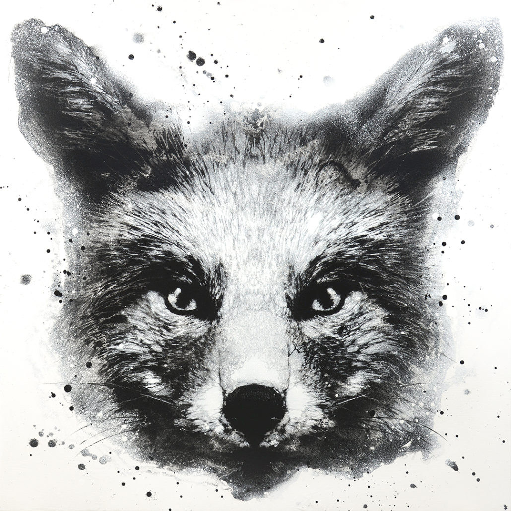 JUSSI_TWOSEVEN-vulpes_vulpes_4-6_